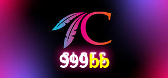 Interface Premium 999bb